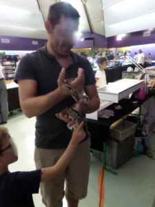 SAMSUNG CAMERA PICTURES