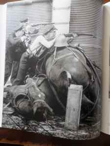 SAMSUNG CAMERA PICTURES