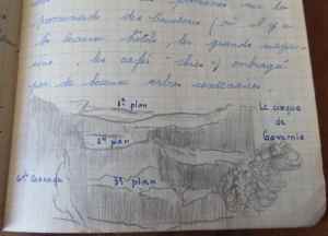 SAMSUNG CAMERA PICTURES