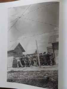 SAMSUNG CAMERA PICTURES