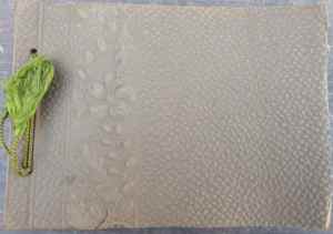 SAMSUNG CAMERA PICTURES