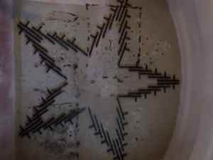 SAMSUNG CAMERA PICTURES