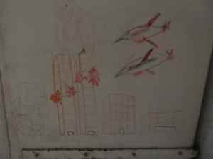 SAMSUNG CAMERA PICTURES