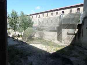 SAMSUNG CAMERA PICTURES