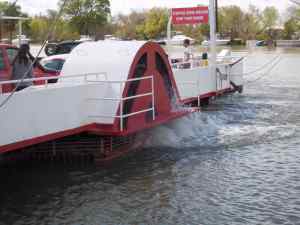 81-bac du sauvage sur PR 15