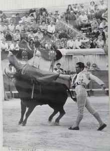 SAMSUNG CAMERA PICTURES