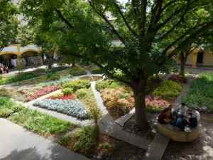 DSCN0178 JARDIN ANCIEN HÔPITAL 2