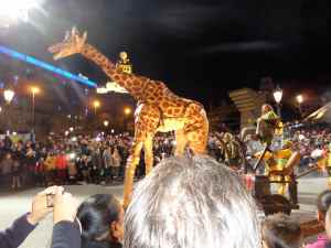 SAMSUNG CAMERA PICTURES