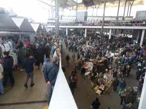 SAMSUNG CAMERA PICTURES