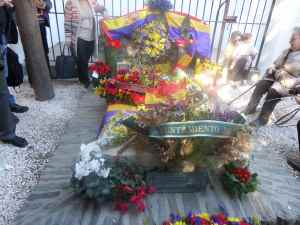 SAMSUNG CAMERA PICTURES