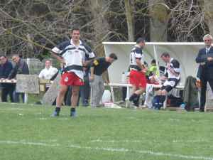 SAMSUNG CAMERA PICTURES