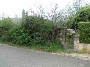 SAMSUNG CAMERA PICTURES