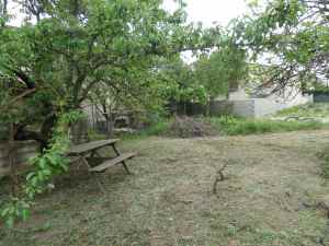 SAMSUNG CAMERA PICTURES