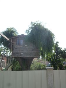 SAMSUNG CAMERA PICTURES