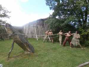 SAMSUNG CAMERA PICTURES