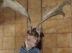 SAMSUNG CAMERA PICTURES