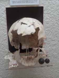 SAMSUNG CAMERA PICTURES