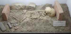 SAMSUNG CAMERA PICTURES