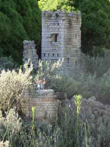 SAMSUNG CAMERA PICTURES