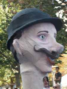 SAMSUNG CAMERA PICTURES