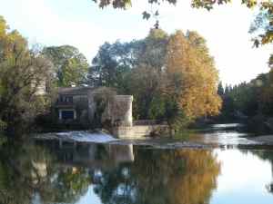 SAMSUNG CAMERA PICTURES