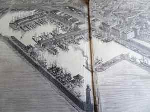 SAMSUNG CAMERA PICTURES