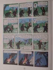 SAMSUNG CAMERA PICTURES