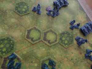 SAMSUNG CAMERA PICTURES