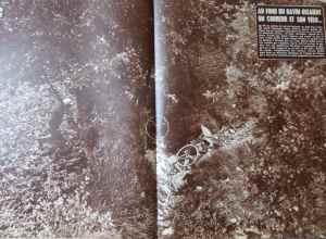 SAMSUNG CAMERA PICTURES