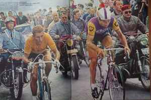 SAMSUNG CAMERA PICTURES