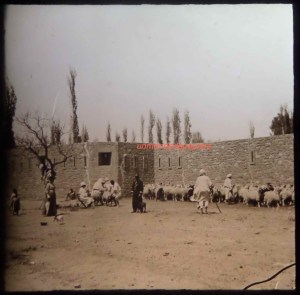 SAMSUNG CAMERA PICTURES