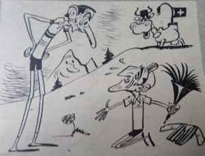 SAMSUNG CAMERA PICTURES