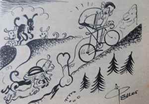 SAMSUNG CAMERA PICTURES