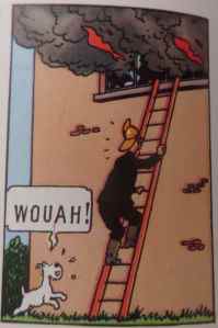 SAMSUNG CAMERA PICTURES