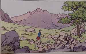 SAMSUNG CAMERA PICTURES