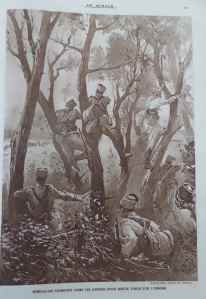 SAMSUNG CAMERA PICTURES