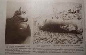 SAMSUNG CAMERA PICTURES