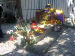 SAMSUNG CAMERA PICTURES