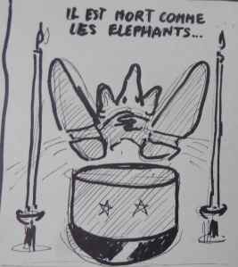 SAMSUNG CAMERA PICTURES