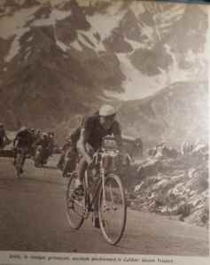 SAMSUNG CAMERA PICTURES