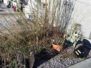 SAMSUNG CAMERA PICTURES