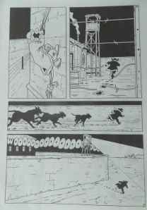 SAMSUNG CAMERA PICTURES