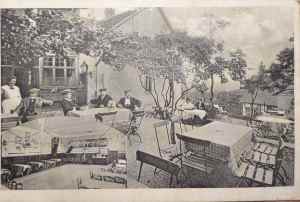 SAMSUNG CAMERA PICTURES