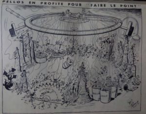 SAMSUNG CAMERA PICTURES