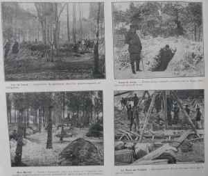 SAMSUNG CAMERA PICTURES