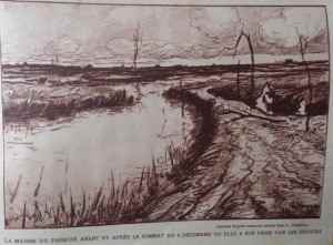 SAMSUNG CAMERA PICTURES