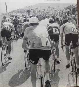 SAMSUNG CAMERA PICTURES