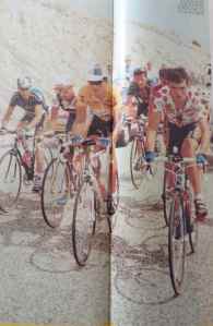 SAMSUNG CAMERA PICTURES