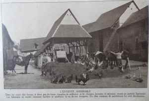 SAMSUNG CAMERA PICTURES