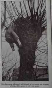 SAMSUNG CAMERA PICTURES